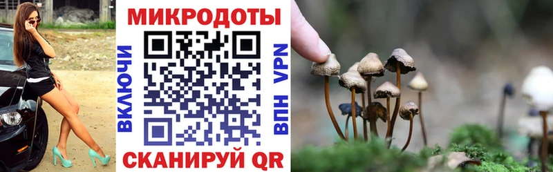 Псилоцибиновые грибы ЛСД  Купить закладки  Холмск 